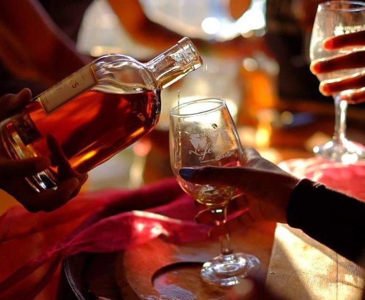 Couldn’t make it to #SWF, no problem. You can still visit all the incredible wineries open 7 days a week in #VisitStellenbosch  Starting with the iconic <a href="/van_ryns_brandy/">Van Ryn's Distillery</a>