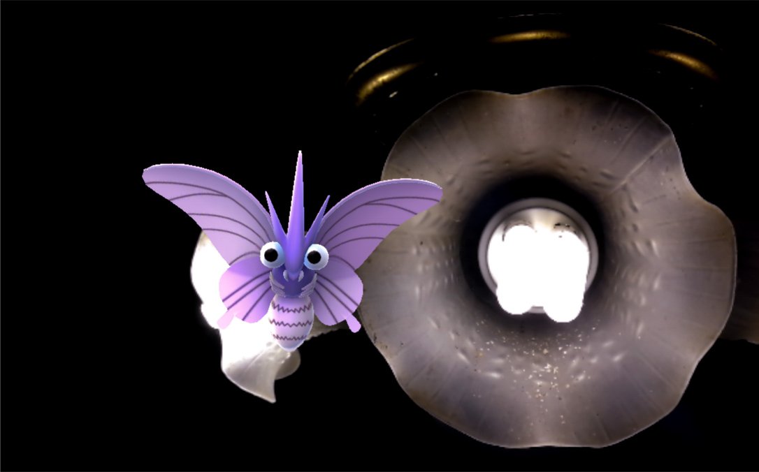 prince_je07's tweet image. Flying creatures 😁

#pokemonGo #armode