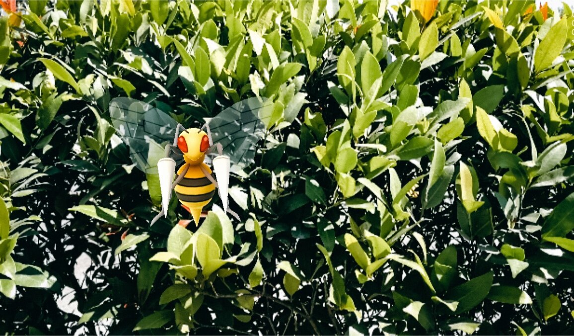 prince_je07's tweet image. Flying creatures 😁

#pokemonGo #armode