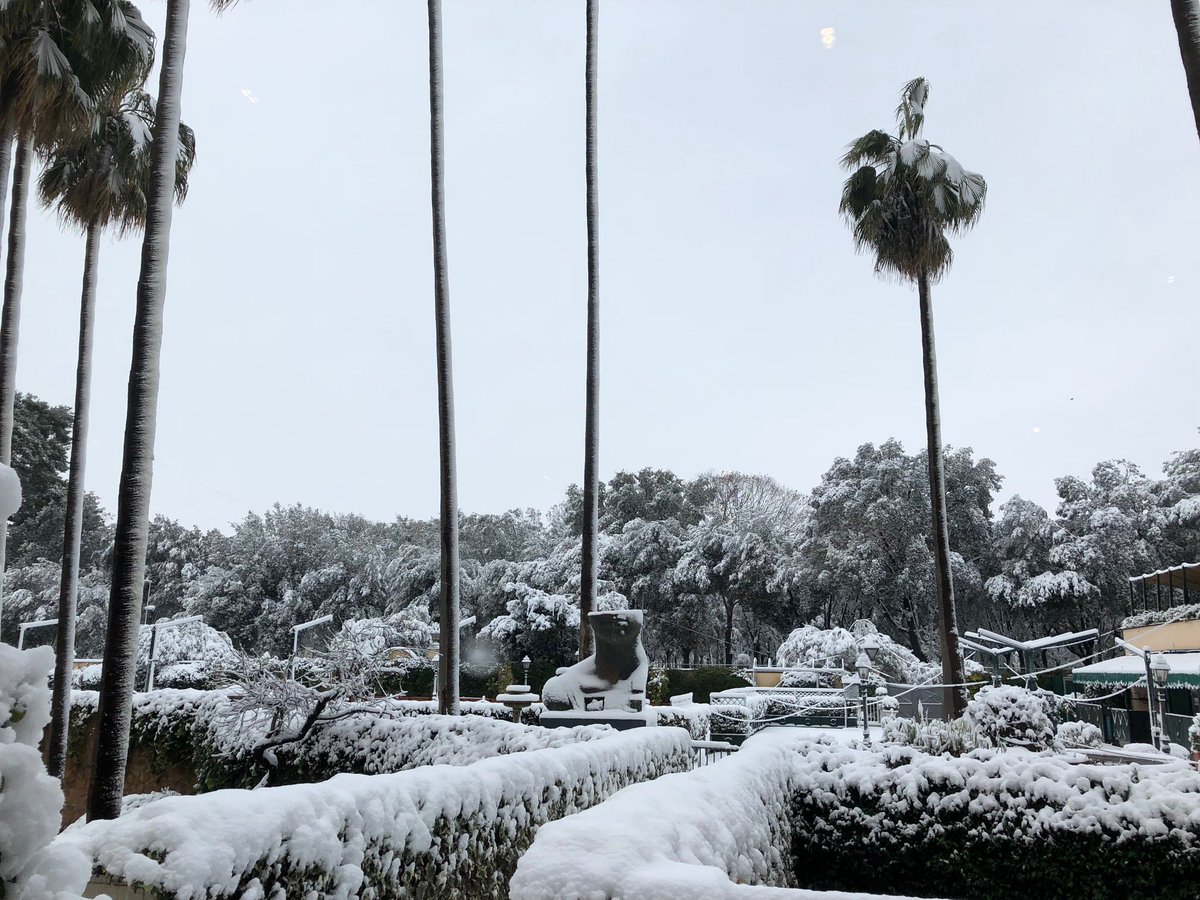 ParcoGHSPA's tweet photo. Here, (s)now!
#ParcodeiPrincipi #nevearoma #neve #snow #LuxuryHotel https://t.co/ktF2a2TuZi