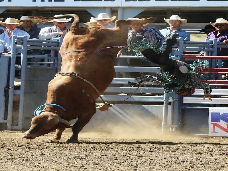 Lakeside Rodeo tweet media