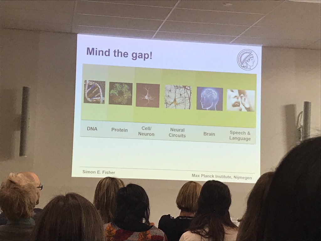 Sonja_Vernes's tweet photo. I have a contractural obligation to show this slide in every single talk I give - Fisher #NijLec ๐๐๐ https://t.co/zHf8yJhk3e