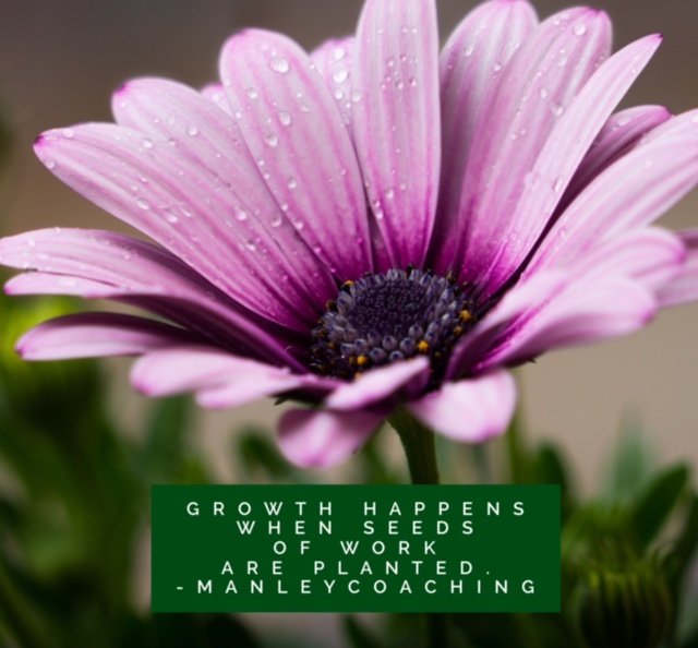 #Growth happens when seeds of work are planted medainc.org
#ManleyCoaching #Bodyconfidence #bodyimage #recovery #mindfulness