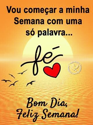 daniel#parceirosbeta (@dmssoundribeiro) on Twitter photo 