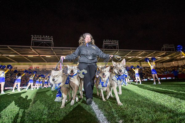WarringtonRLFC's tweet photo. 📸 It was all about the wolves on Friday night. Did you see them?
Tweet us a reply with pictures of you with our pack.

(images courtesy of swpix) https://t.co/QvQq9yj3rq
