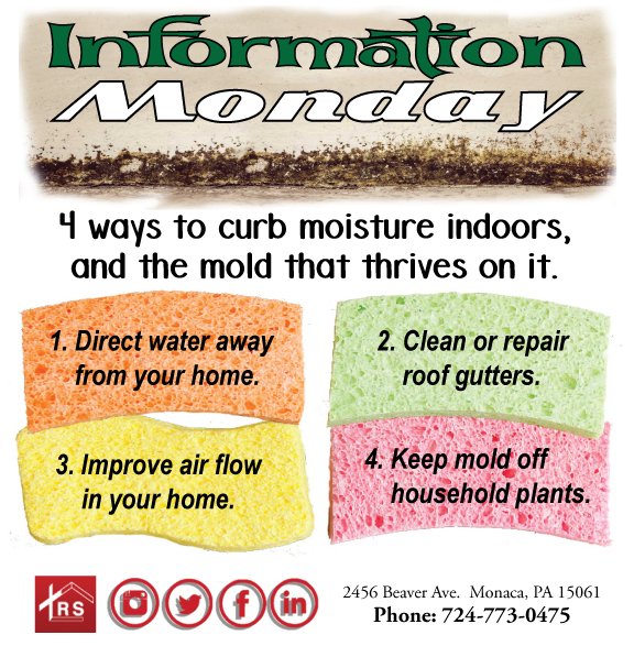 trinityres1's tweet photo. Mold! No one wants that. Trinity Restoration Services gives you hints to keep mold away! #trinityres #mold https://t.co/41SSQRvC09