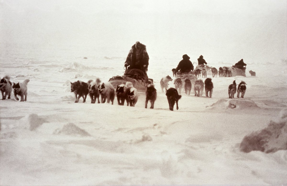 kari_herbert's tweet photo. 'And so the scene was set on 21 February 1968 for the final farewells, and the start of a journey that would define us. But even from the very first day we were fighting to stay alive' #wallyherbert #leadership #Motivation #exploration #firstcrossing #anniversary #Arctic #inspire https://t.co/u5iofrQXHI