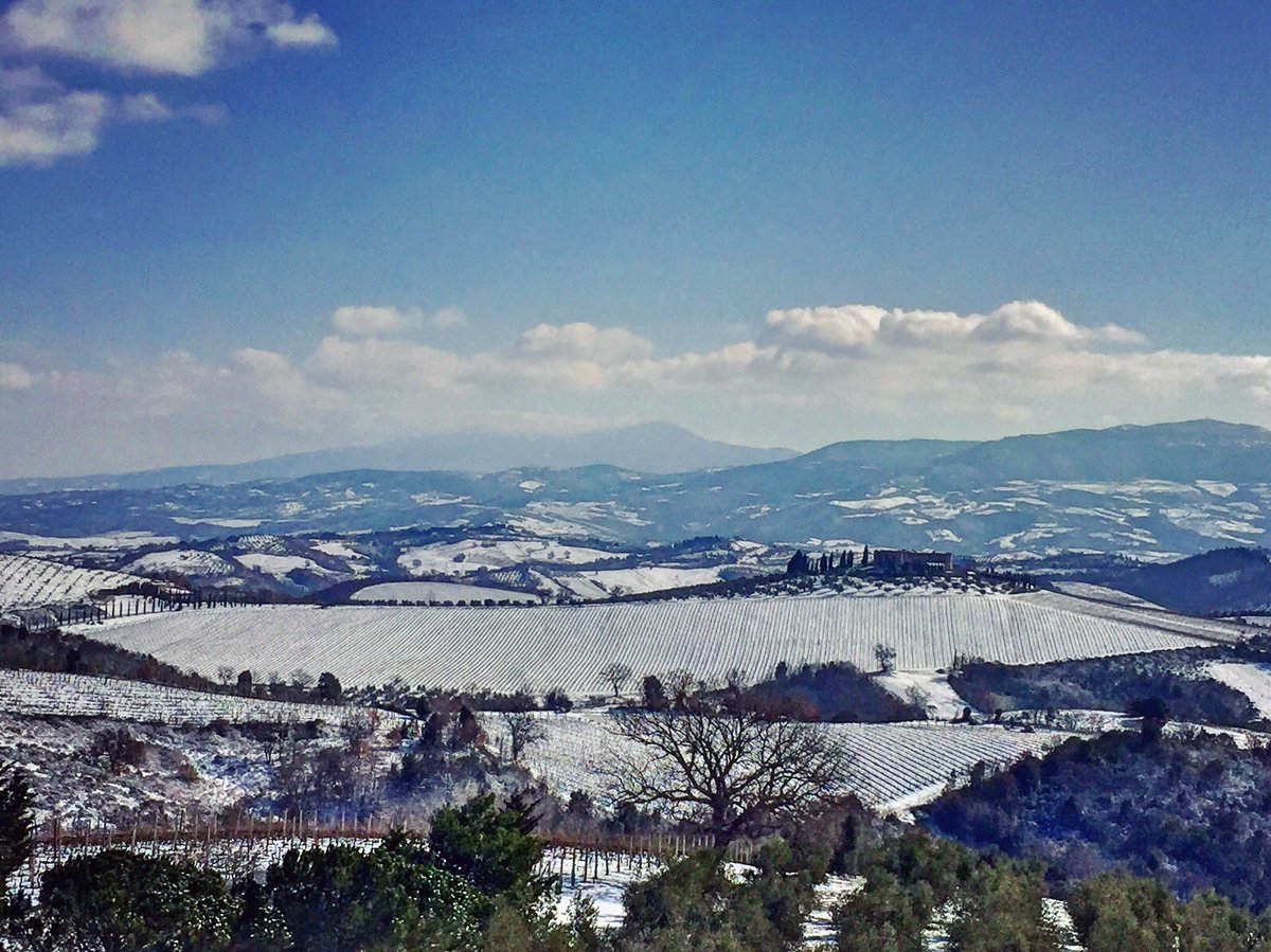 Goodmorning from a snowy <a href="/collemassari/">ColleMassari</a> #snow #vines #olivetree and #cipressi #tuscany #italy #montecucco #wines