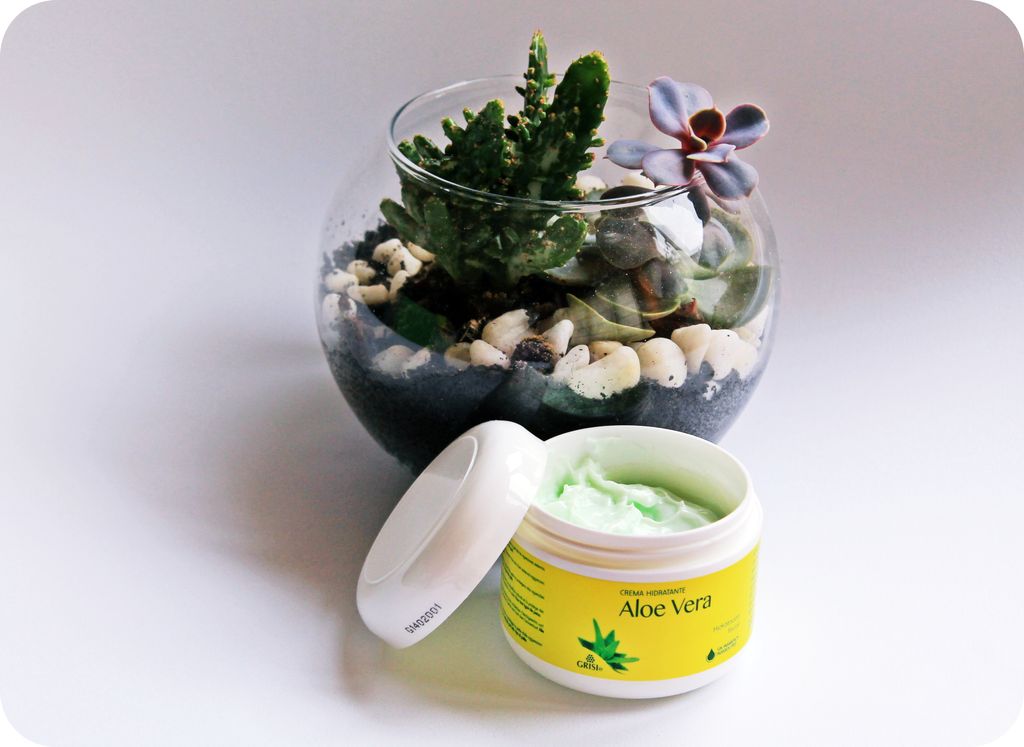 GrisiEspana's tweet photo. Lo mejor para reparar tu piel, crema reparadora, nutritiva y regeneradora de Aloe. 🌱 Hidratación intensa, textura cremosa, suave, absorción inmediata. ☝ Activa el colágeno, piel más relajada y jugosa. #Grisi #aloevera #nutritiva #pielseca #pielnormal #pielsensible #dermatitis https://t.co/UhsKFqC2wZ