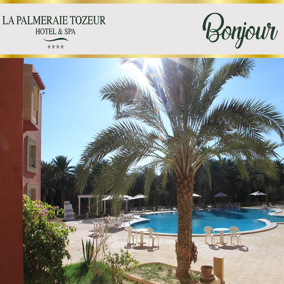 SHDT_HOTELS's tweet photo. Toute l'équipe du #Palmeraie_Tozeur
☕ vous attend tout les jours dans une ambiance chaleureuse et conviviale. On vous attend https://t.co/pvZXyg6Jxt