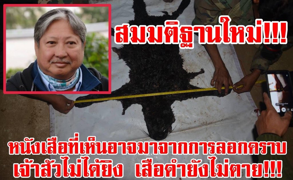 panther_animal's tweet photo. เดี๋ยวๆๆๆ นี่ใช้เล็บขบตัวเงินตัวทองคิดก่อนจะพูดออกมาหรอ ถ้าไม่มีอะไรที่สร้างสรรค์ให้พูดกว่านี้ก็หยุดแสดงความโง่สักที สมเพช #ทุ่งใหญ่  #ทุ่งใหญ่นเรศวร  
#ฝนตกที่ห้วยขาแข้ง #เสือดำ 
#ฝนตกที่ทุ่งใหญ่ 
#BlackPantherWasKilledinThailand #เสือดำต้องไม่ตายฟรี #เสือดำทุ่งใหญ่ https://t.co/y3RG3EwWA1