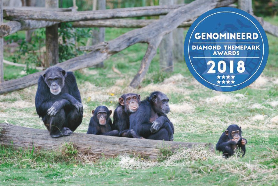 Laatste weekje! We zijn in maar liefst 13 categorieën genomineerd voor de Diamond ThemePark Awards! 🎉 Heb jij jouw stem al uitgebracht? Stemmen kan t/m 4 maart ;) bit.ly/2BcoY9C