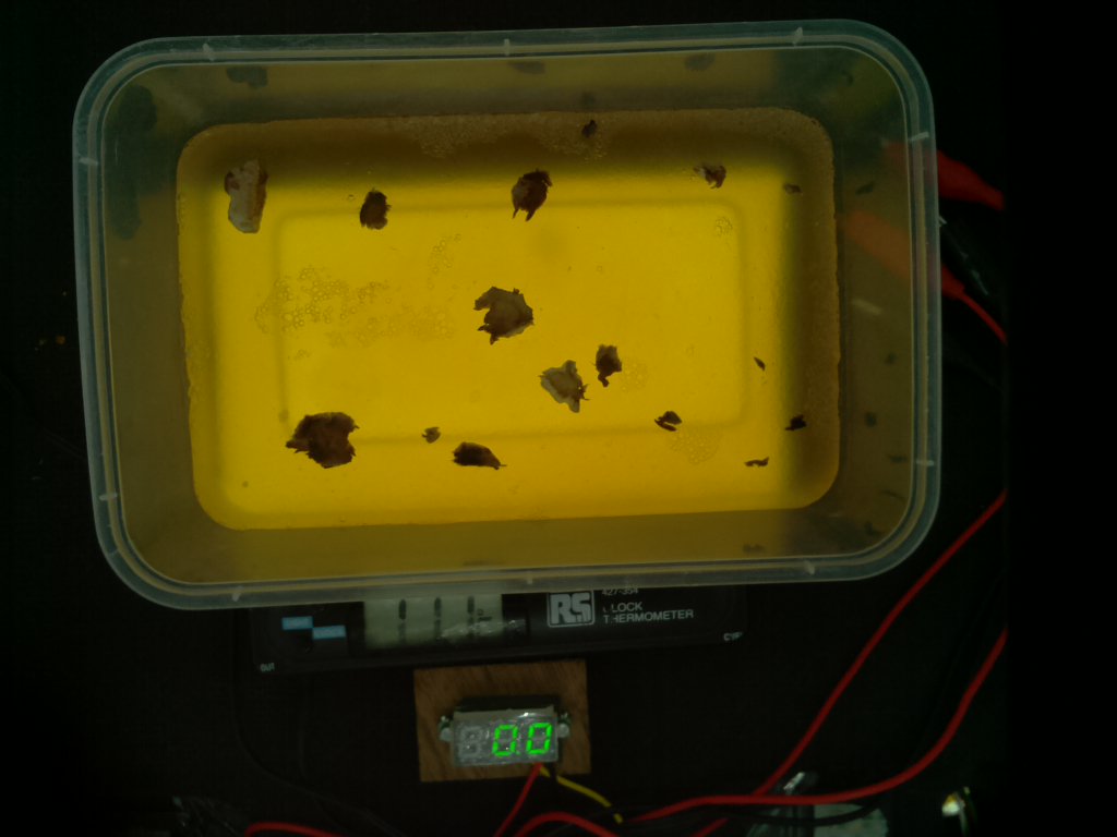 BrisBioHack's tweet image. Growing mushrooms2018/02/26 11:00:09