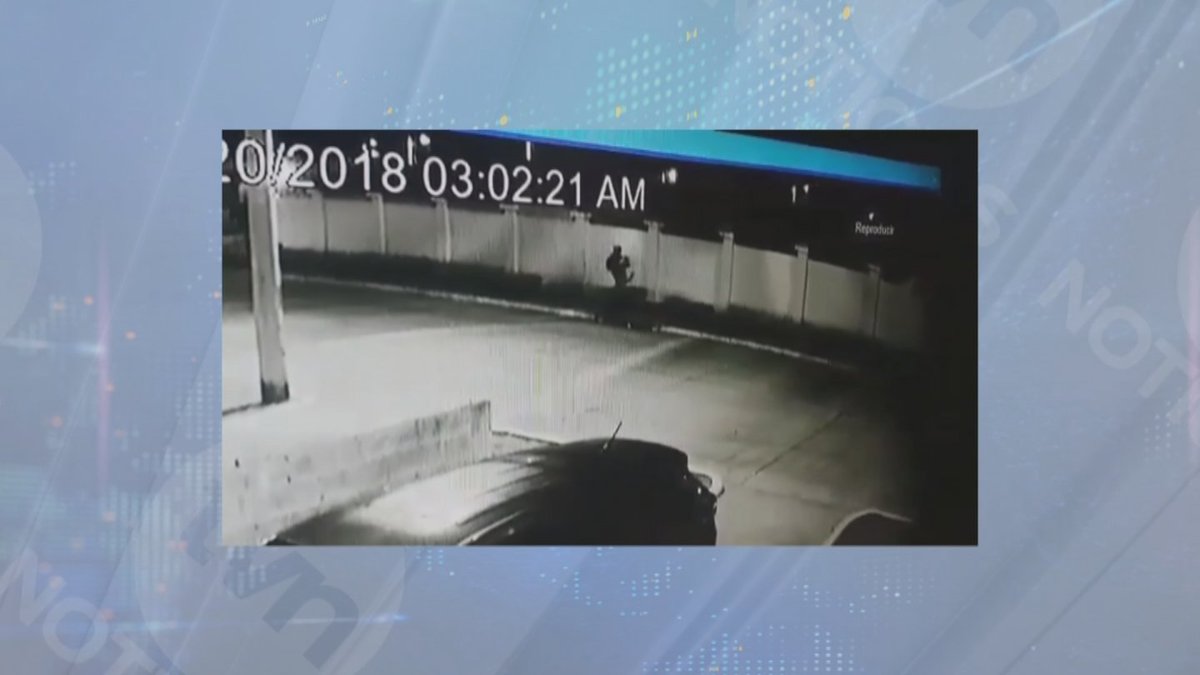 tvnnoticias's tweet photo. Ladrones se saltan cerca perimetral en una barriada de Tocumen para robar #NoticiasAM https://t.co/XcZPK1UhGV