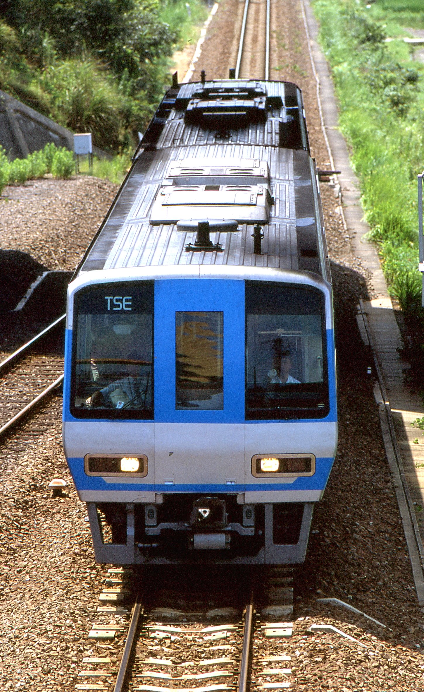 どーらく on X: 