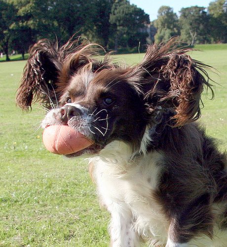 My absolute fave pic of me, of all time ever!!...... Ladies and Gentlemen, I give you my Jamie Oliver impression, I thank you