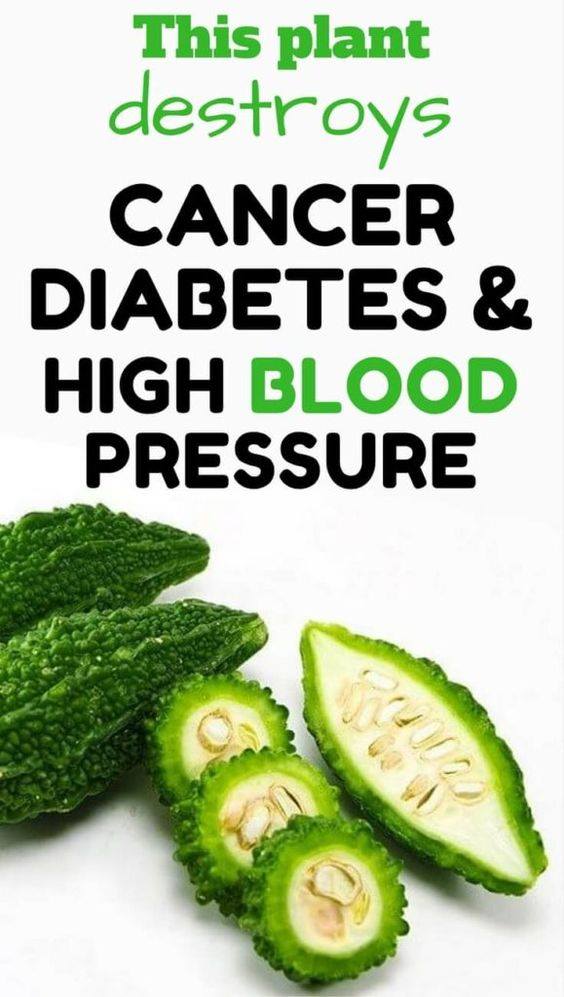 MasterCookDubai's tweet image. Among  the cancer fighting foods ,diabetes diet foods and high pressure  remedies, Goya is the best. This plant destroys cancer, diabetes and  high blood pressure.