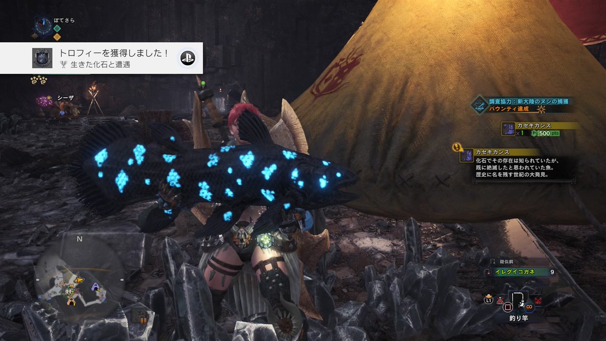 Mhw 新大陸 の ヌシ ただのゲームの写真