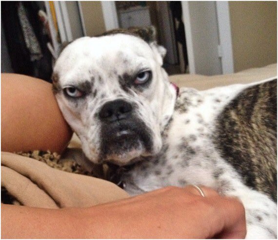 CO WORKER - OMG I had the best weekend, was out with friends, went shopping, had the most wonderful lunch...

Me -