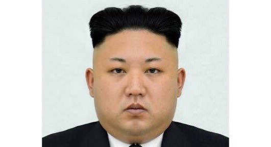 陰金田虫 シンメトリー金正恩さほど変わんなくて草