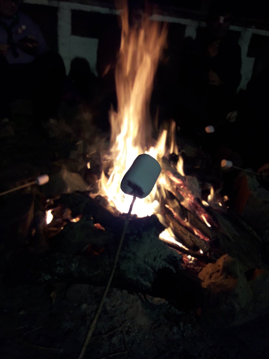 crbisonteblanco's tweet photo. Este fin de semana, diez de nuestros pequeños Rover han acampado en El Borge ¡Y la experiencia ha sido inolvidable! #asde #scouts https://t.co/ueocSeT92U