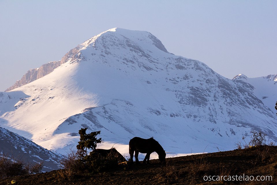 mustapanki's tweet photo. Una emblemàtica muntanya de 2883 m. separa la Vall Fosca de la Vall d'Àssua.
La coneixeu?
https://t.co/N22LV7VHXR https://t.co/GnlXoQrXyg