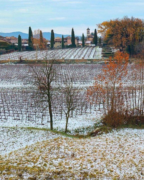 visitlakeiseo's tweet photo. Una bella idea per l'inverno è vivere l'esperienza enoturistca in #Franciacorta. A maggior ragione quest'anno, dichiarato dal MiBACT anno del cibo italiano! • Scopri le cantine qui: https://t.co/31ztLhUReu • #visitlakeiseo #theromanticchoice #annode… https://t.co/oWWZhRIuTV https://t.co/T6NmkEzzPN