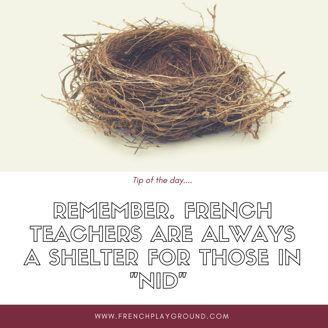 Students are sometimes like little birdies in the nest of teacher classrooms. So, I guess this French joke makes sense. #FSL