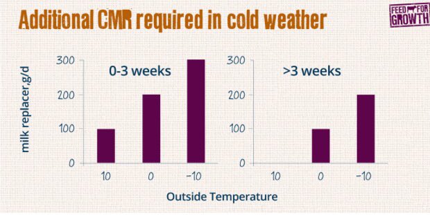 With the temperature dropping again don’t forget to alter feeding rates for calves 🐮❄️Increase the level of milk solids by 100g per day for every 10°C temperature drop below 20°C to maintain growth rates! Get those calf coats on! #calves #keepwarm