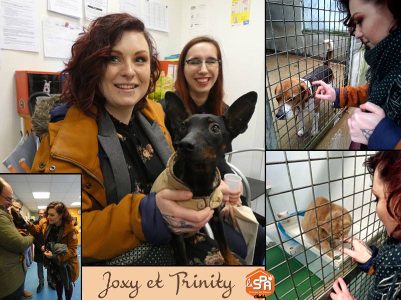 mythiXTrinity's tweet photo. Un message très touchant laissé par la SPA de Cholet sur leur page facebook ♥
Merci à eux pour se qu'ils font au quotidien...
C'est pleine d'émotions que je revois ses photo de ma journée à la SPA 💕🐱🐺🐰
#streamspacholet https://t.co/xqZiLgma2X