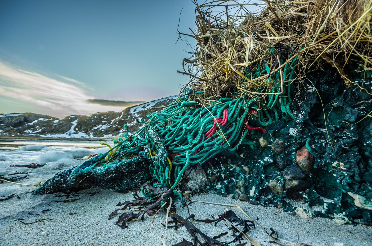 BoEide's tweet photo. And this is the result of trying to burn an old #trawlnet at the #wrackline. Not a very sensible way of getting rid of #marinelitter, now the #plastic has fused with #sand, rocks and roots. https://t.co/3fYaUw1U2J