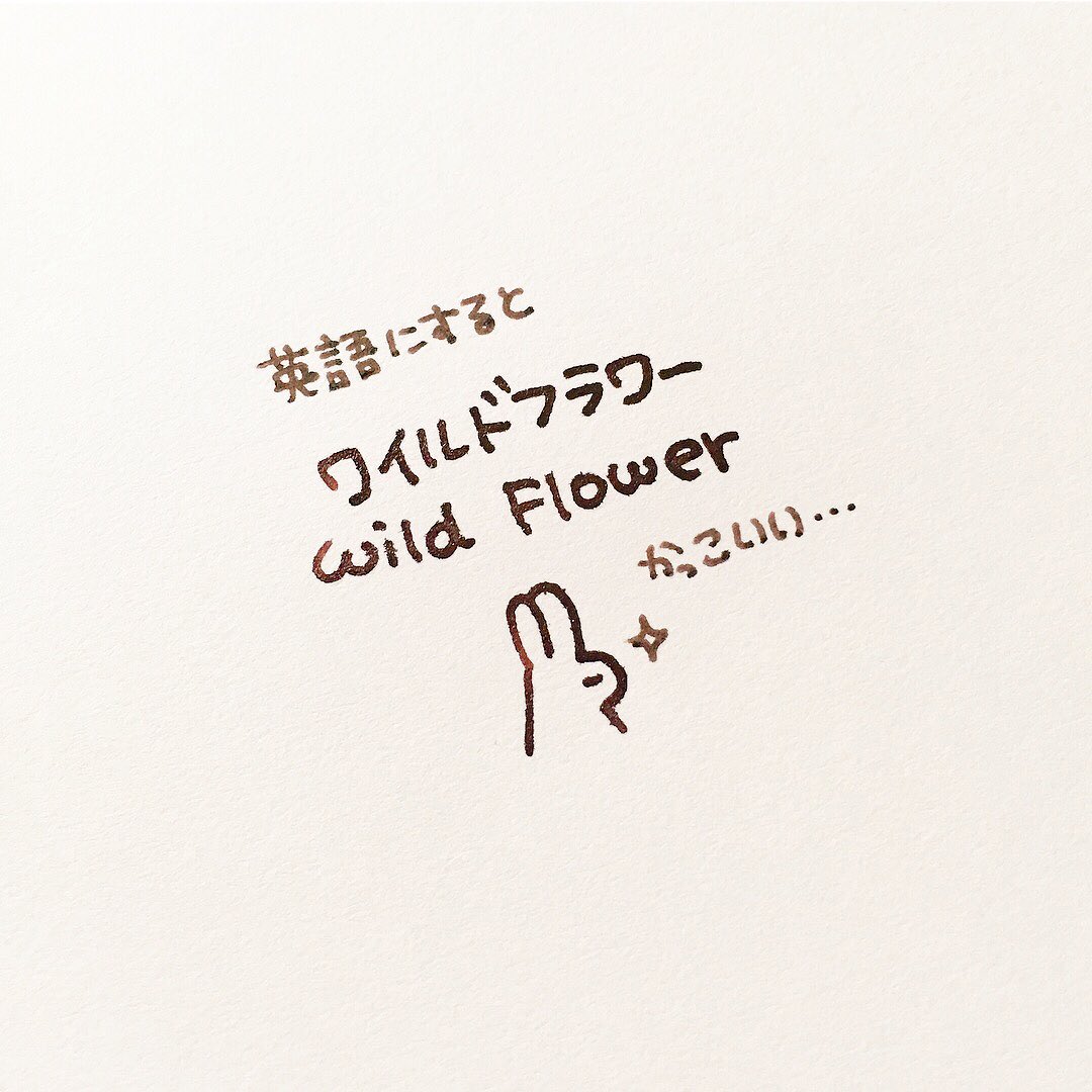 名前を「のなか」さんと呼ばれても、あまり気にしなかったのですが、著者名で絵本を探すとき困る方もいらっしゃるのでは!と思い立ちました。
今さらですが「のはな」です。(まれに漢字表記も使います)ワイルドなフラワーです。よろしくお願いいたします?