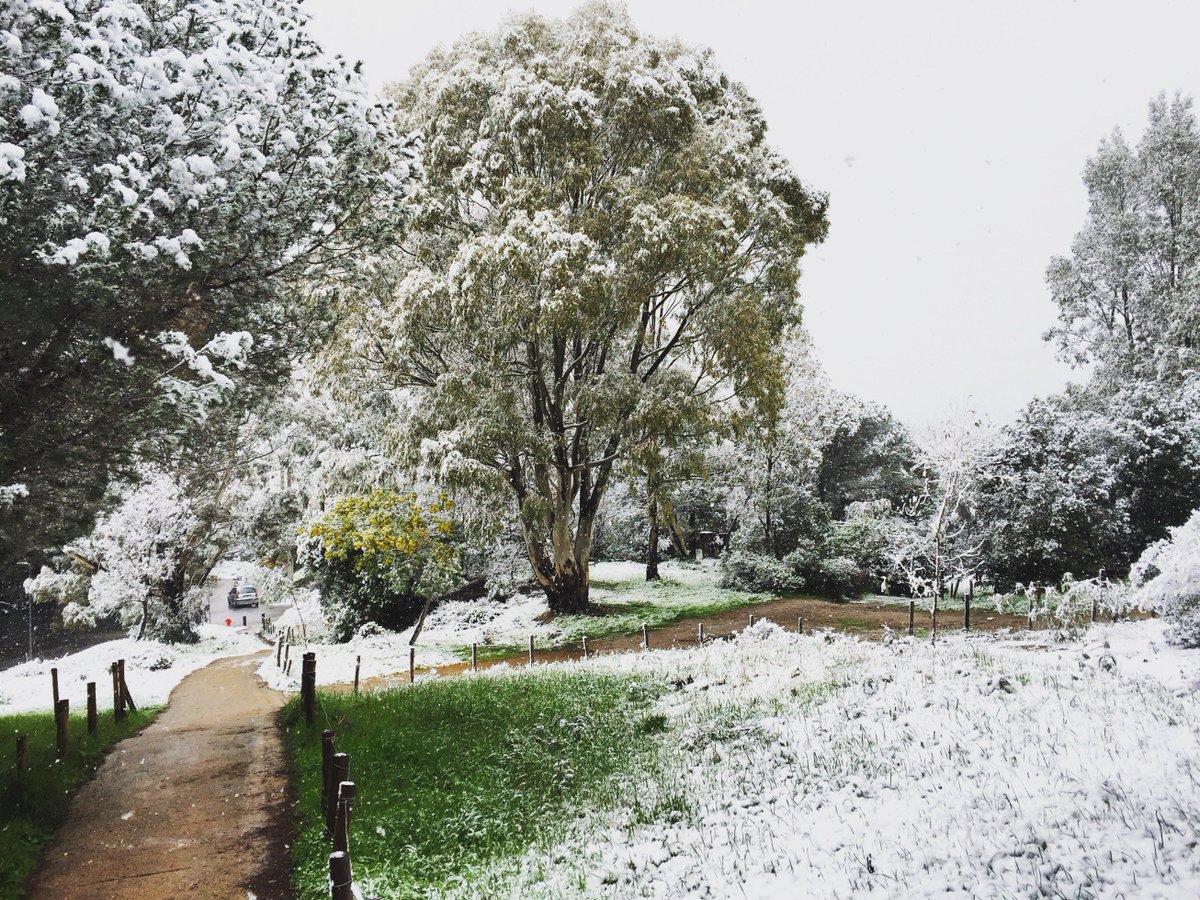❄ #Cannes #neige
En direct de la Croix des Gardes... 😊
Let it #snow 😍