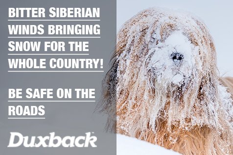 DuxbackUK's tweet photo. Duxback car windscreen treatment will fight off that snow and ice, to make sure that every journey is safer and clearer this week.

Siberian snow...no trouble.

Buy it now at https://t.co/AXxfVIRLCx https://t.co/2avCmnoG7s
