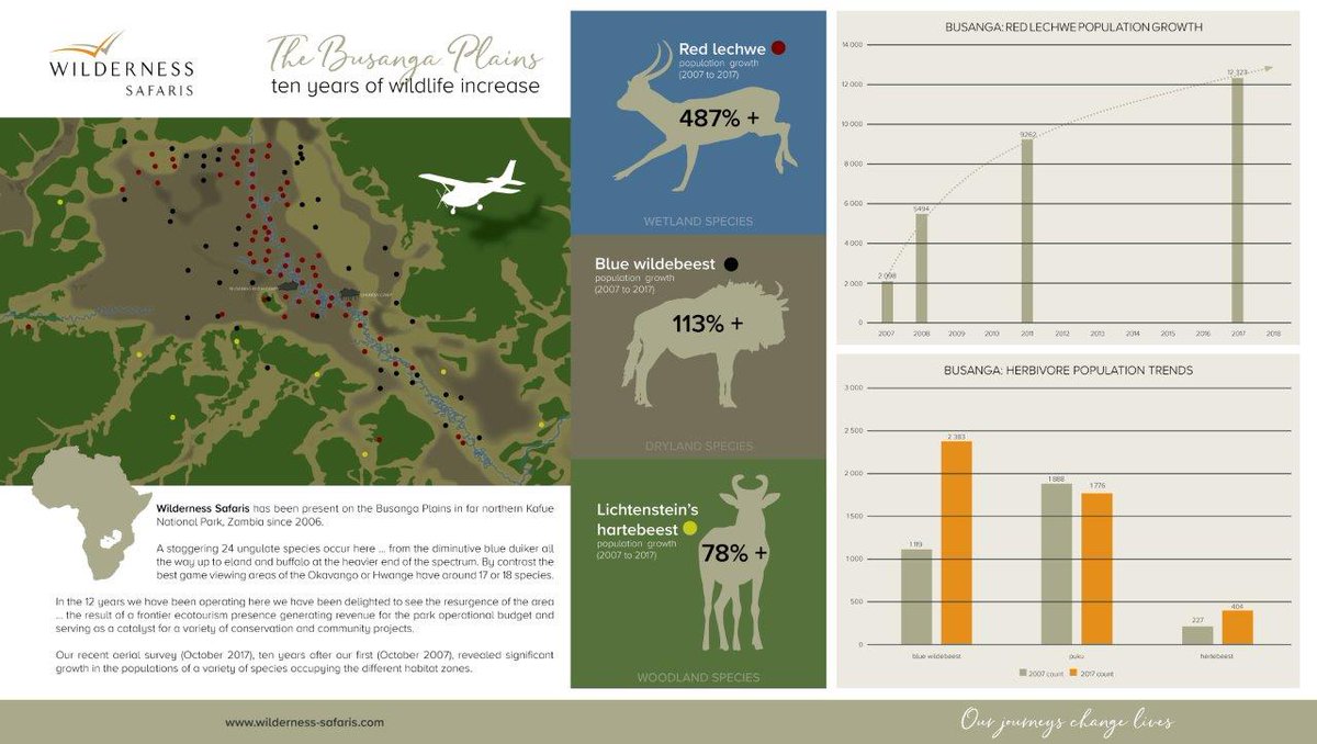 WeAreWilderness's tweet image. In the 12 years we have been running our ecotourism operation in the Busanga Plains we have been delighted to see the resurgence of the area through a variety of #conservation &amp;amp; #community projects wilderness-safaris.com/blog/posts/the… #OurJourneysChangeLives #TravelWithPurpose #Zambia #Kafue