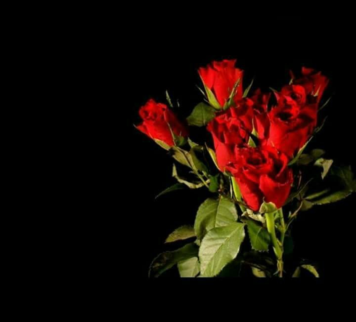Itz_iqraa's tweet photo. Knock Knock 😍😍
❤"REMINDER"❤
Sir WO Apko Kuch Yad Dilana Hy 🙊💜
WO Na Ab Mere B'day Mai Sirf 3 Days Hen 💕💕 "On Friday"
🎉🎉
Or Aap Ny Mujhy Wish Karna Hy Us Din Yad Sy Please 😇😇
🙈
Or Meri Birthday Ko Memorable Banana Hy💟💟
#3_Days_Left 🙌
#My_B'day
@AamirLiaquat https://t.co/5f6o30OSR9