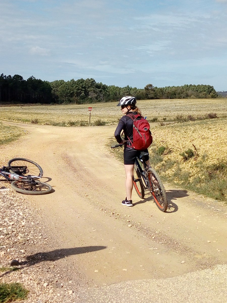 Sandytoes Algarve (@sandytoes001) on Twitter photo 