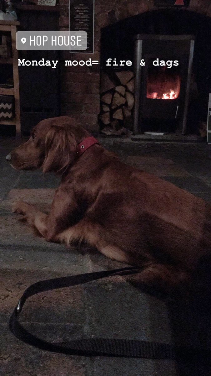 Fire &amp; Dags 🔥🐶 #MondayMood