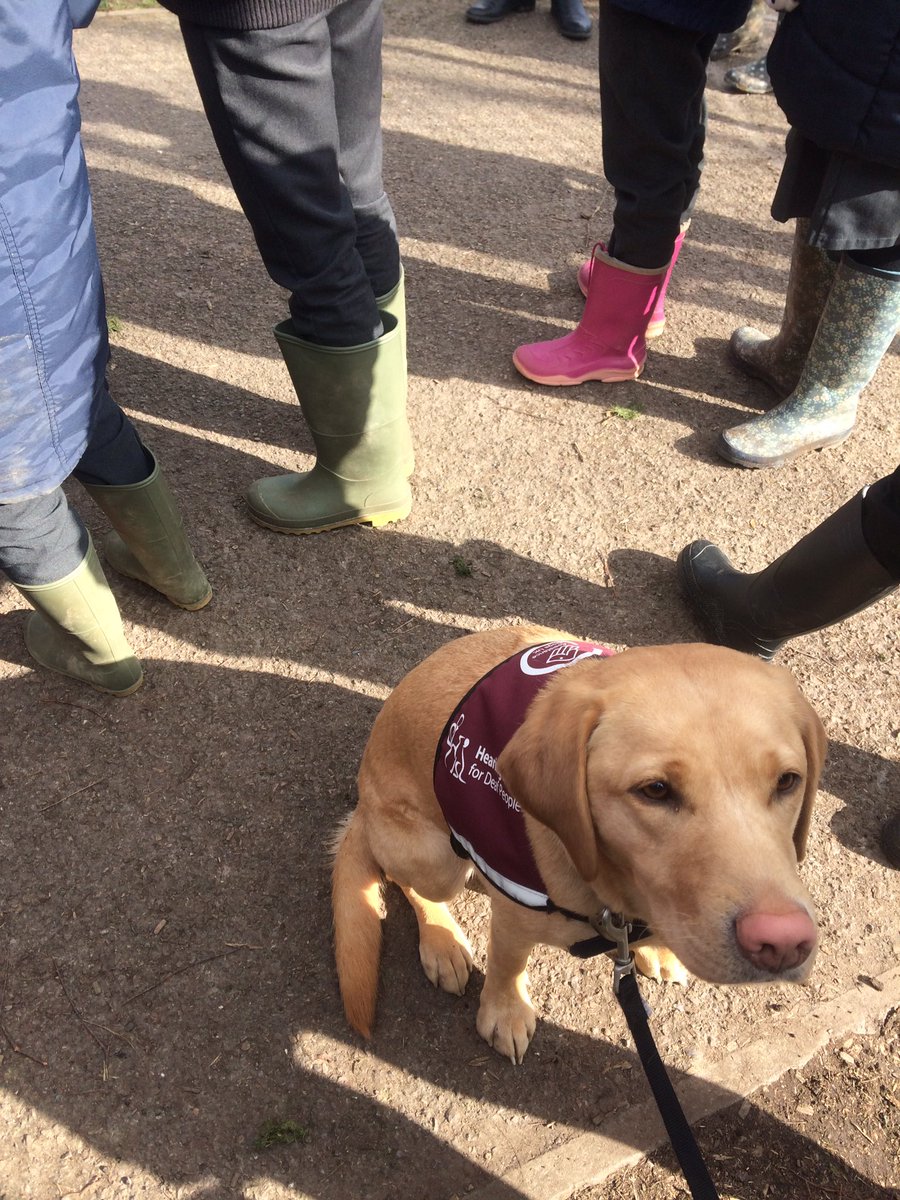 BPSYearFive's tweet image. @PrincessZaraBPS You're looking ready for action! Check out all the wellies!