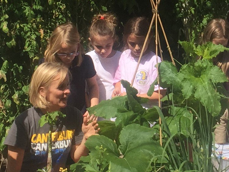 csfedtech's tweet image. Get organic vegetables and herbs on Farmer's Market Friday from @CanterburyFL STEAMGarden! #STEAMed #makerspace