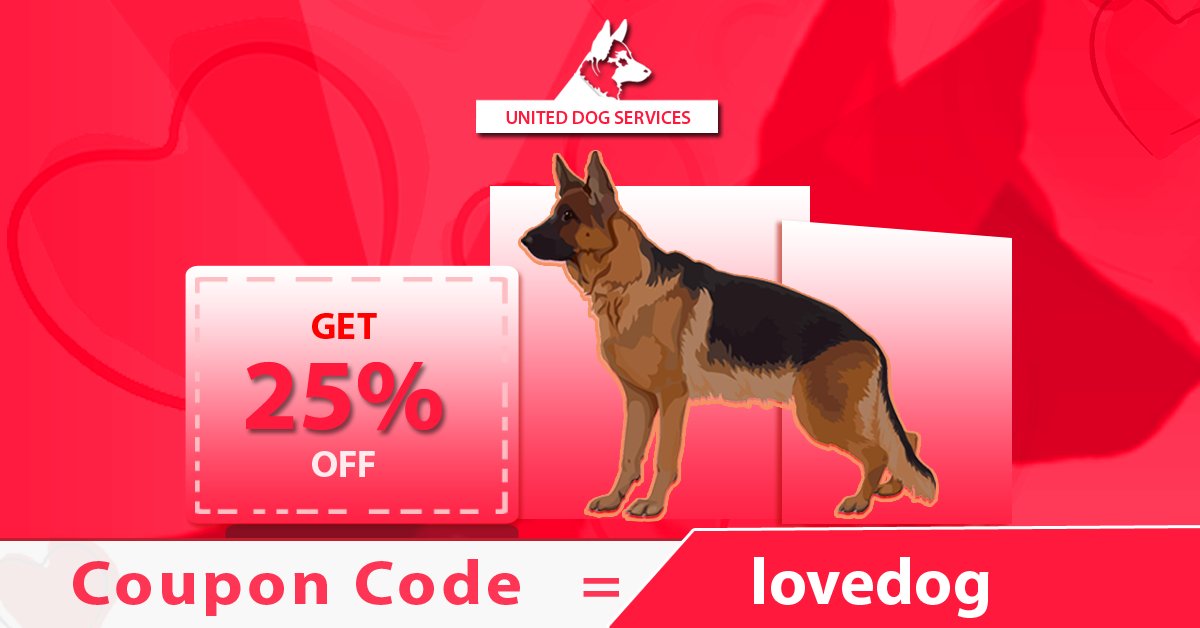United Service Dog (@registeryourdog) / Twitter United Service Dog (@registeryourdog) / Twitter