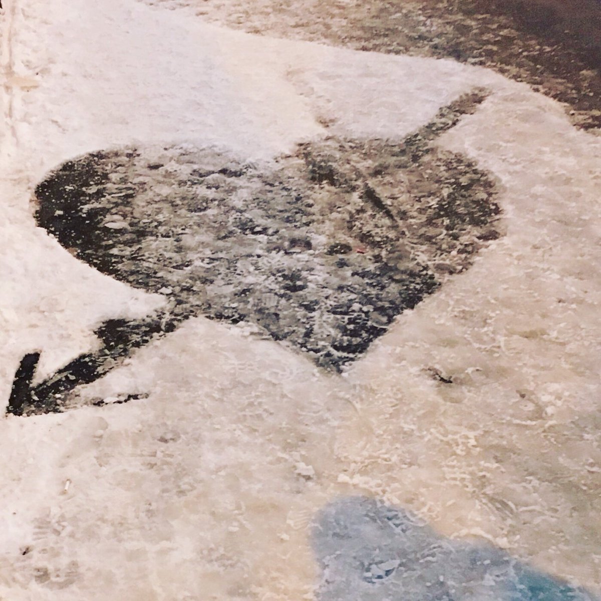 Passez une belle Saint-Valentin ! Je partage avec vous une photo faite par mon amoureux. ❤️