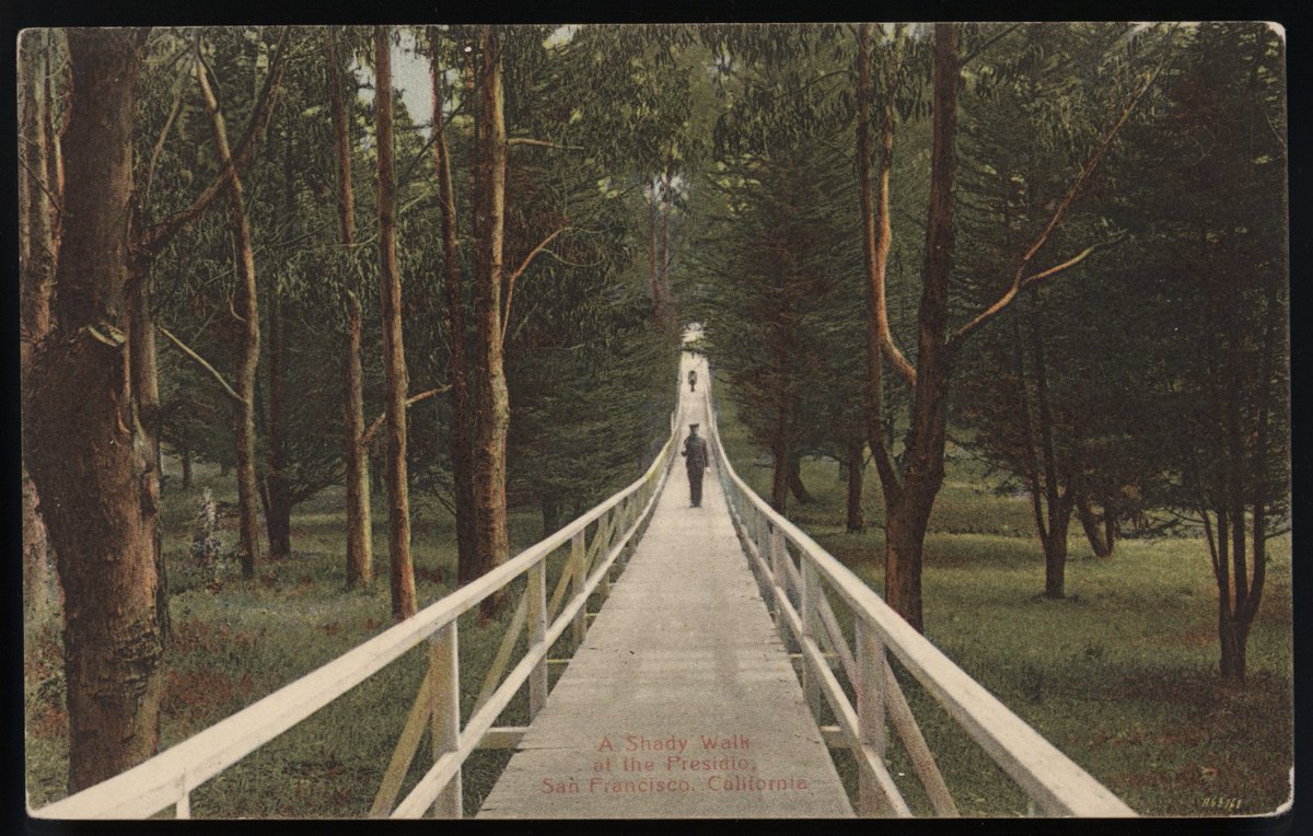 picture Lovers Lane Presidio San Francisco presidio of sf on twitter celebrate