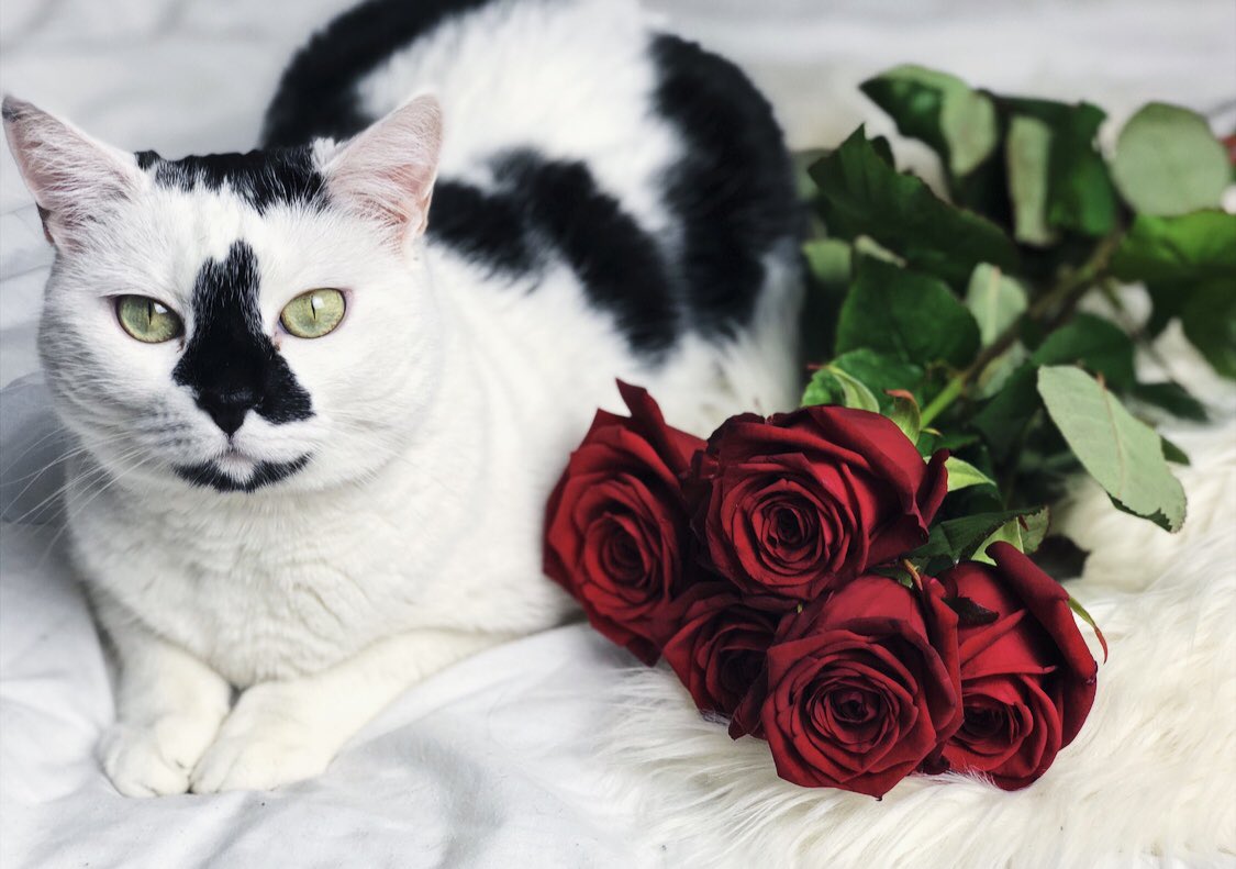 Baema_ma's tweet photo. Joyeuse Saint Valentin et merci pour ta qualité #iPhoneX https://t.co/PymPpq11en