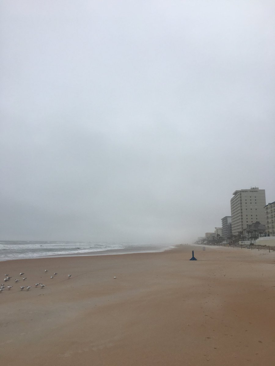 greg_ozz's tweet photo. May not have been the best day for a run, but damn it felt good to be able to run again. Been 4 months. #damnachilles #4miles #beach #healing https://t.co/gFMjAUatWT