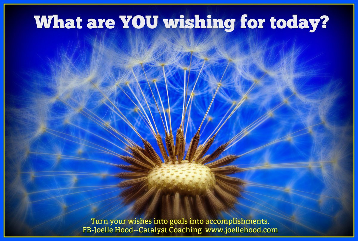 hoodskindness's tweet photo. What are YOU wishing for today? Ready to turn your wishes into goals into accomplishments? I would love to help! Message me if you are interested in my 6-session Jumpstart Your Joy package. #Joy #Purpose #Mindful #EQ #Leadership #Empowerment #Life #PositivePsychology #Coach #DrJ https://t.co/YIMI91iFx2