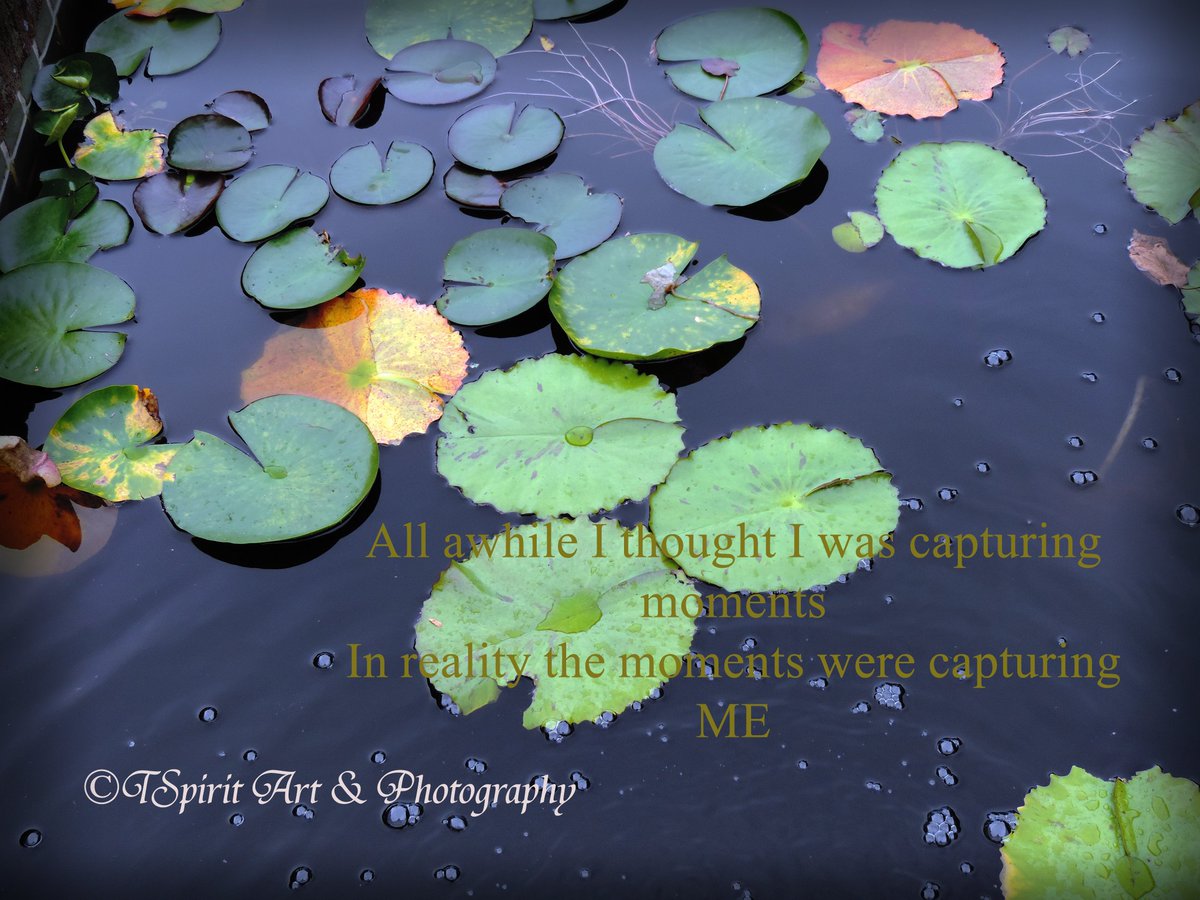 Earthscafe's tweet photo. | #RePurpose | #ReDid | #Refashion | #ReEarth |#ReUse  | #Sustainable | #Ethical | #TSpiritArt | #fineartphotography | #bliss #Moments https://t.co/bqPf9WzRLG