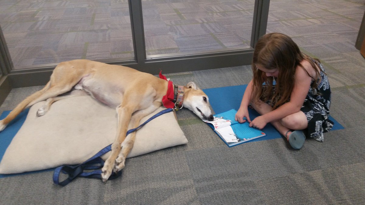 Minnesota therapy dog goes viral after nobody showed up to read to him — now he's booked with offers strib.mn/2ECCEgr