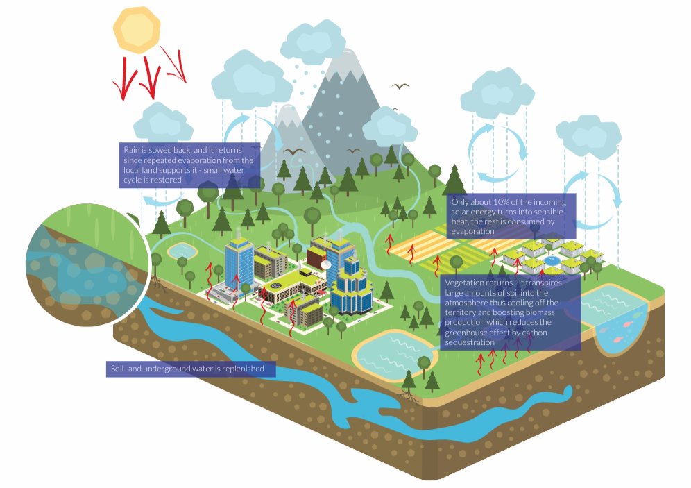 RainforClimate's tweet photo. With our #solutions for #climtae #change we can #transform a #damaged developed #territory into a healthy, functional land with replenished #Resources . Find out more https://t.co/YUWBLqUE74 https://t.co/M21kQCvXCd