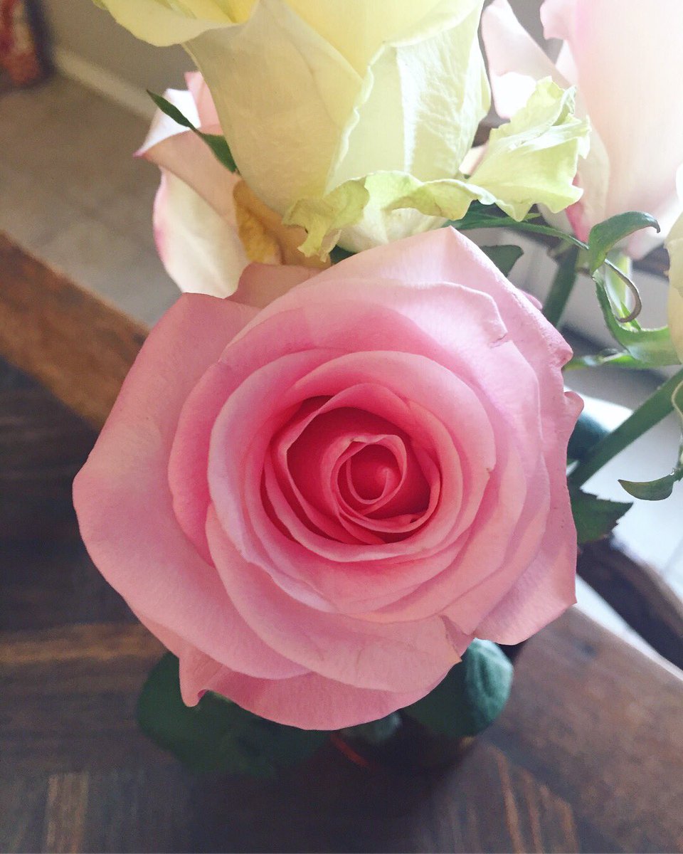 ElevateYouthMin's tweet photo. Don’t miss the annual Valentines banquet tonight at 7:00. It will be absolutely ENCHANTING. 
#bixbyelevateyouth https://t.co/5lFB7rOR6S